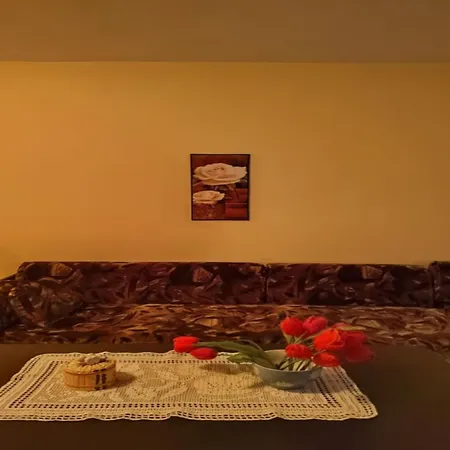 Cozy Little Flat In