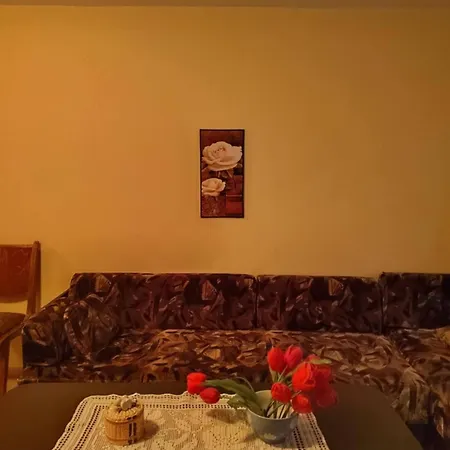 Cozy Little Flat In アパート カルロヴォ