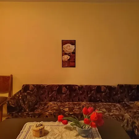 Cozy Little Flat In *